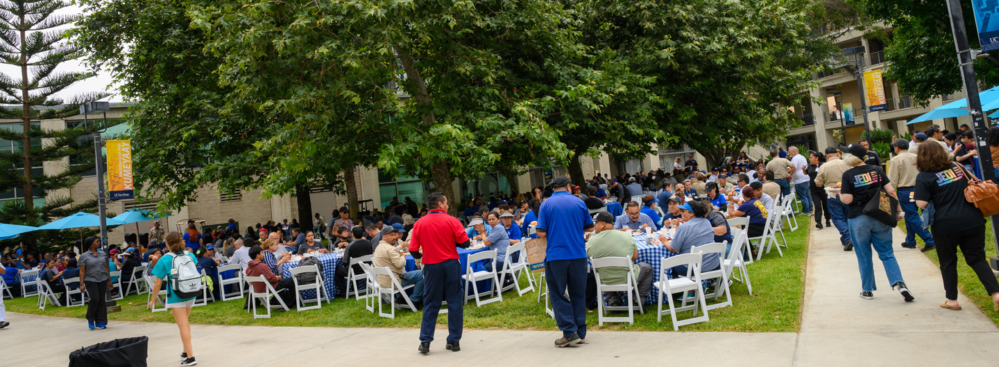 lots of HDH staff seated outside eating at the Staff Appreciation Picnic